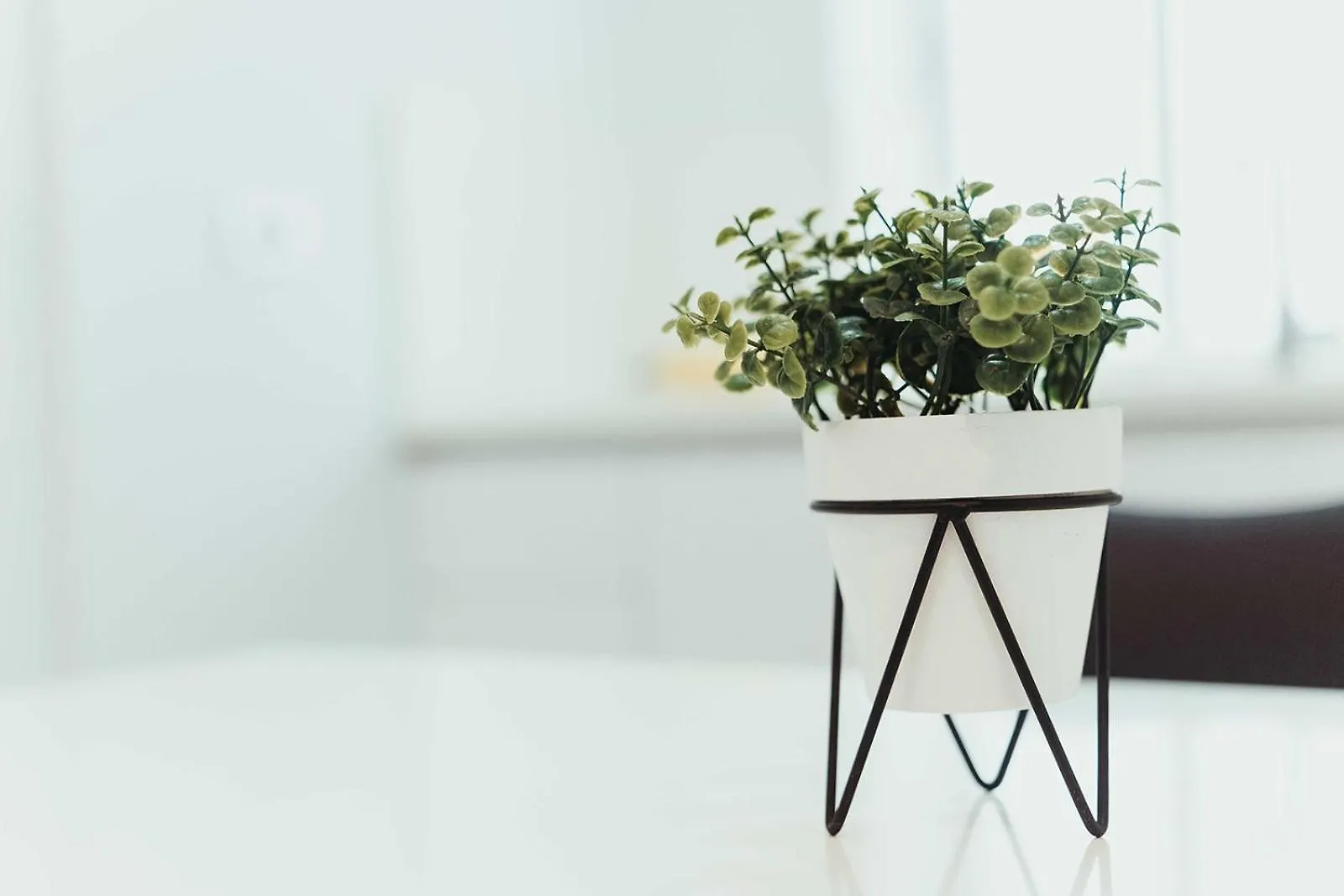 Apartment Click&Guest - Churruca Canteras Las Palmas de Gran Canaria
